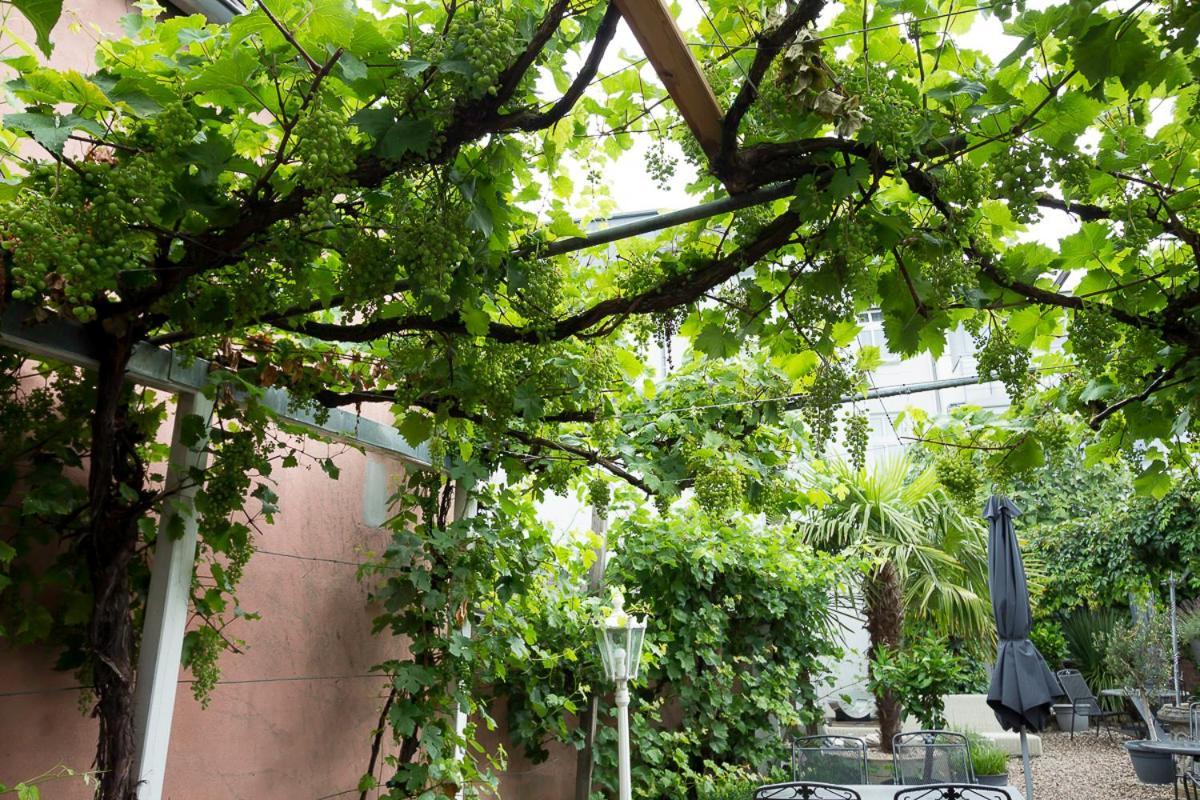 Hotel Garni Landhaus Zur Issel イッセルブルク エクステリア 写真